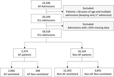 Development of a Risk Prediction Model for New Episodes of Atrial Fibrillation in Medical-Surgical Critically Ill Patients Using the AmsterdamUMCdb